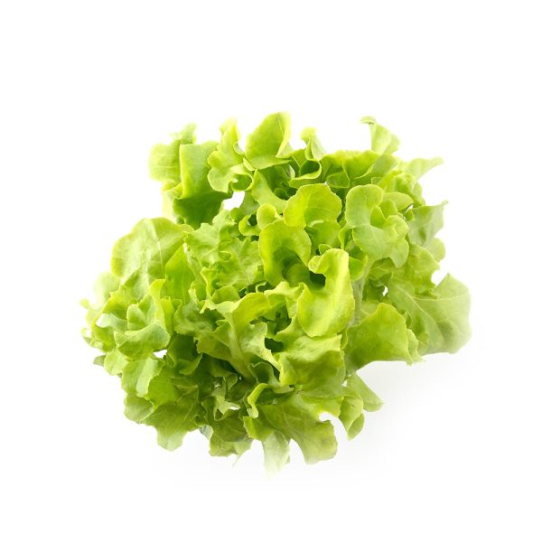 Lettuce