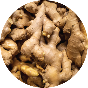 Ginger Powder